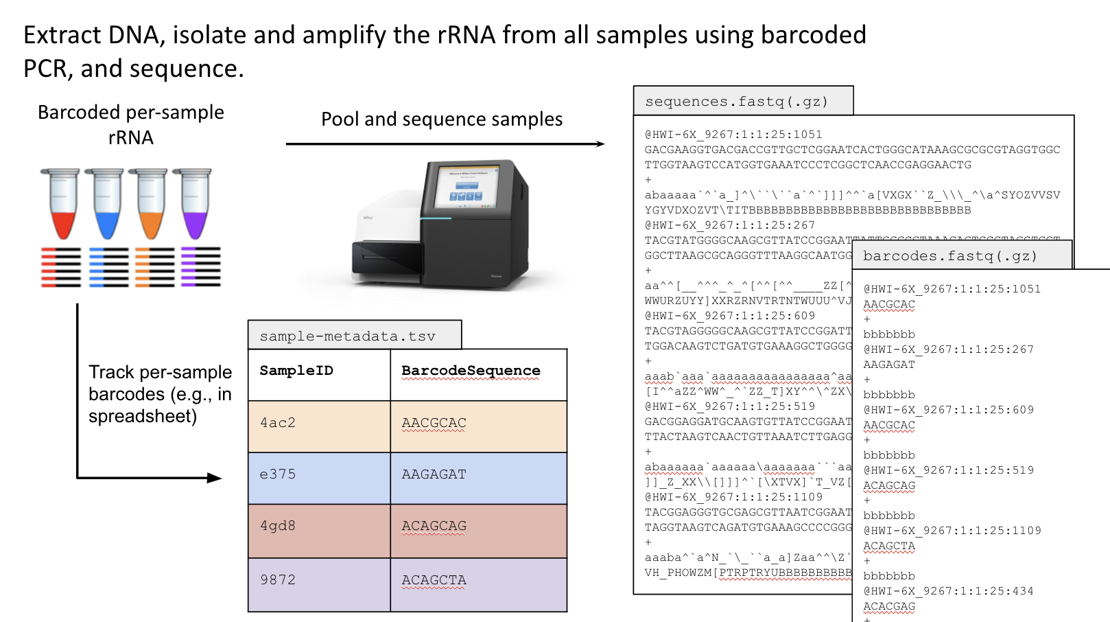 Barcodes and sequencing
