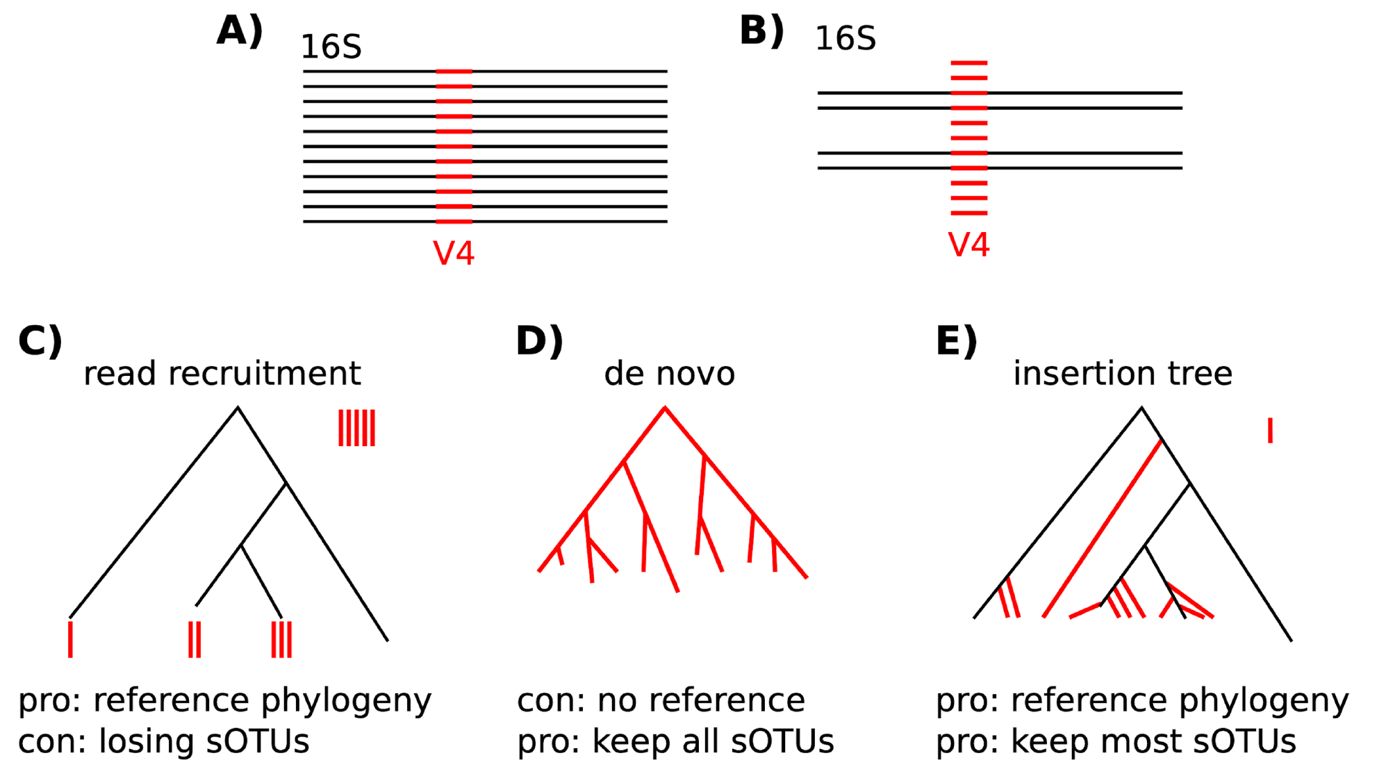 Phylogentic Tree Types