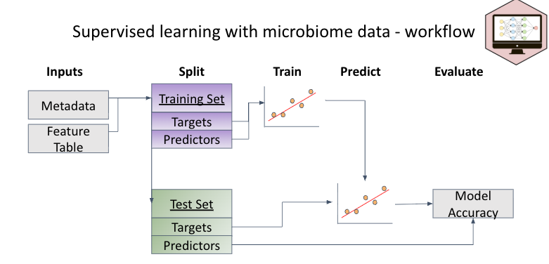 Supervised learning with microbiome data workflow