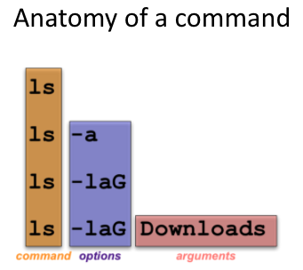 Anatomy of a command