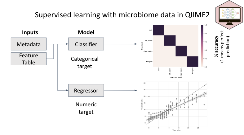 Supervised learning with microbiome data